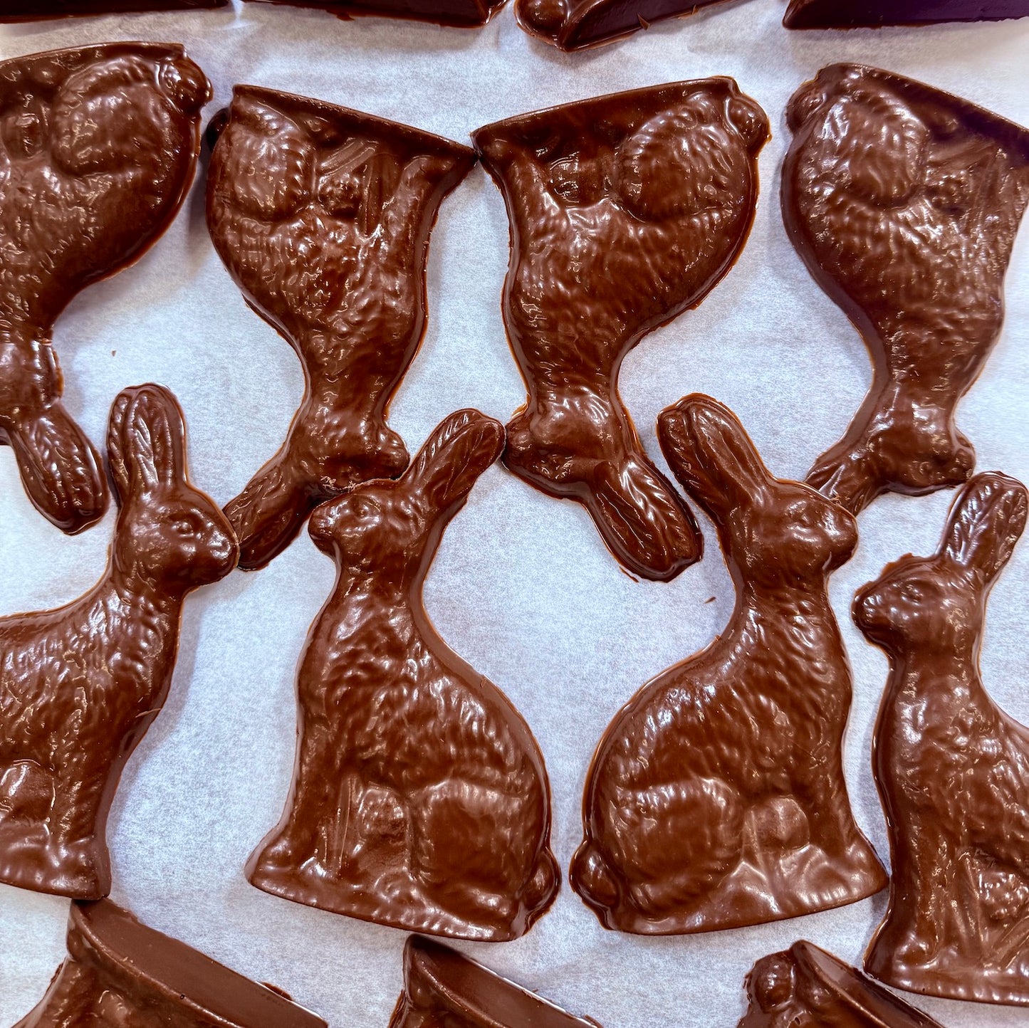 Oat Milk Chocolate Bunny
