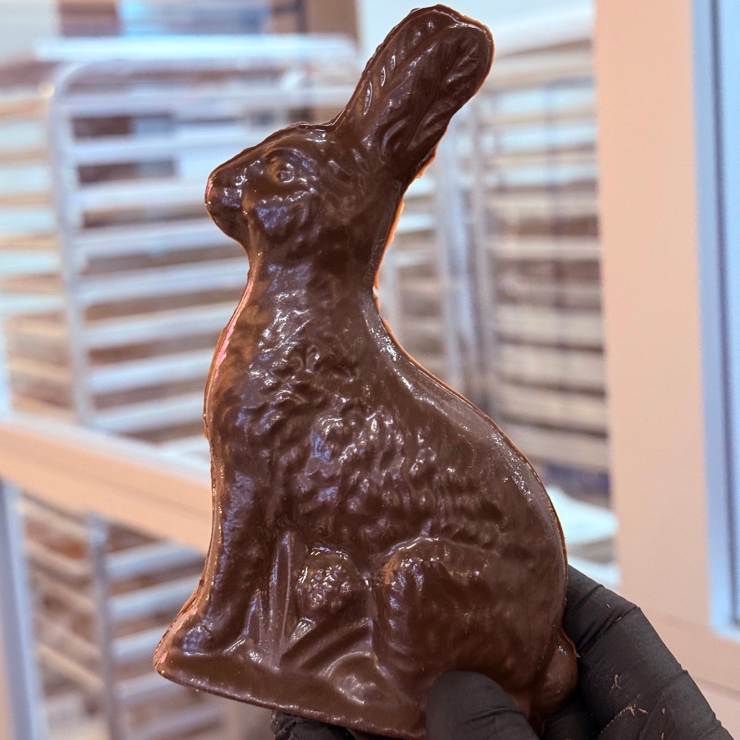 Oat Milk Chocolate Bunny